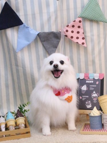 20250520ゆずちゃん